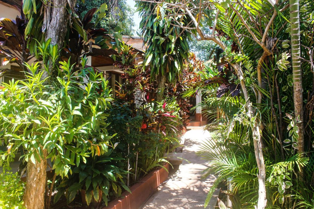 Hospedaje Jose Gorgues Puerto Iguazú Extérieur photo