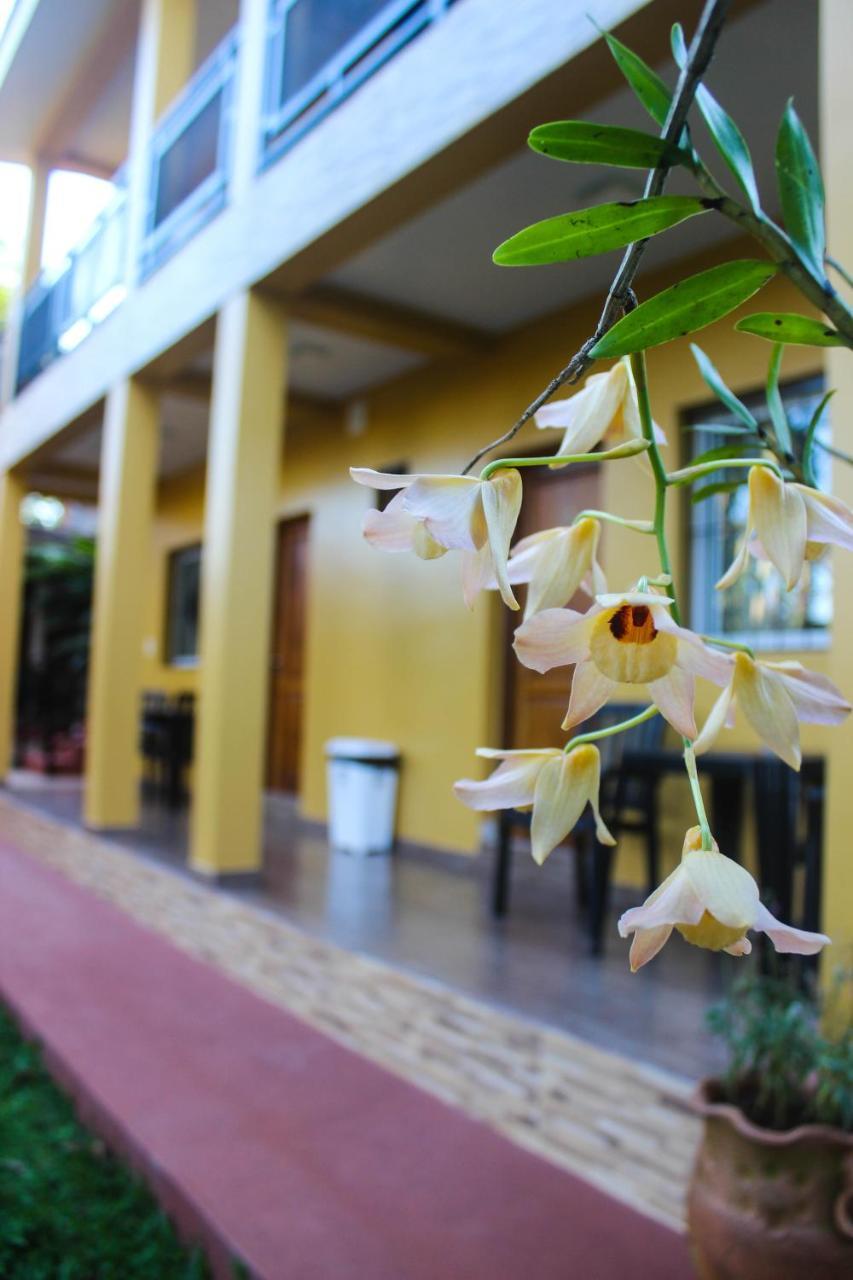 Hospedaje Jose Gorgues Puerto Iguazú Extérieur photo
